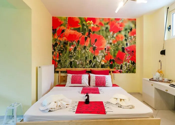 Modern Confort Studio With Lazy Spa Included