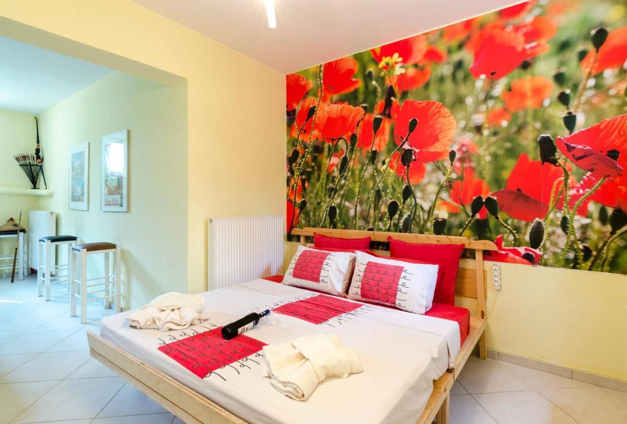 Modern Confort Studio With Lazy Included *